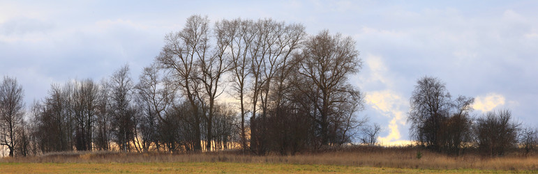 Similar image 10536754