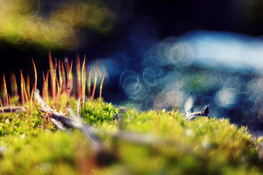 Similar image 10536755