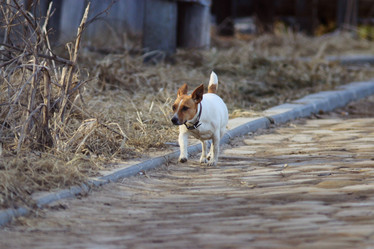 Similar image 10536763