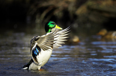 Similar image 10536766