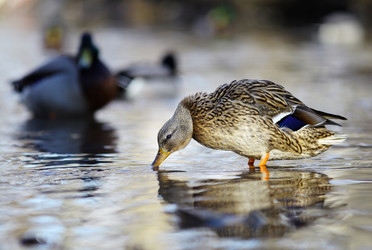 Similar image 10536779