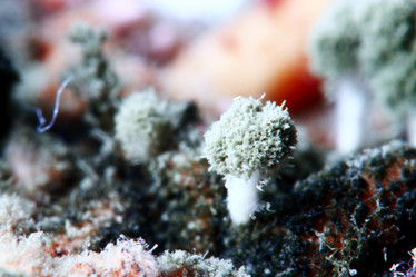 Similar image 10536783