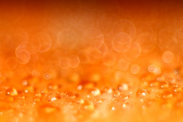 Similar image 10536782