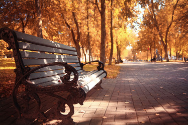 Similar image 10536786