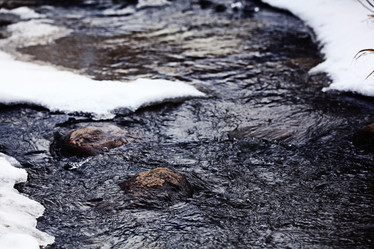 Similar image 10536835