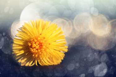 Similar image 10536846