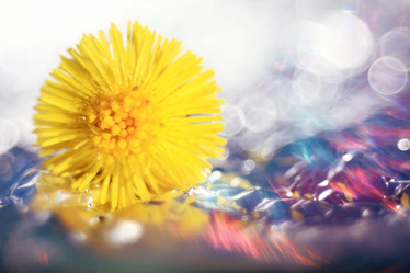 Similar image 10536847