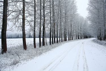 Similar image 10536889