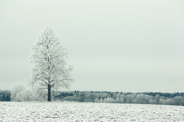 Similar image 10536893