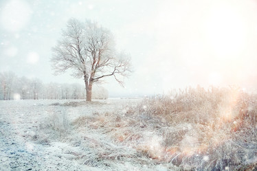 Similar image 10536897