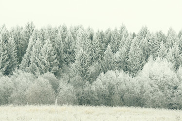 Similar image 10536899