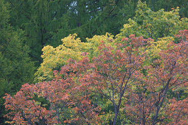 Similar image 10536904