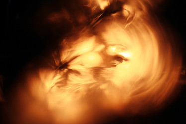 Similar image 10536933