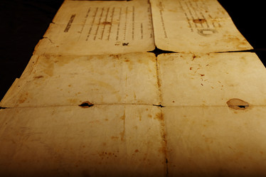 Similar image 10536944