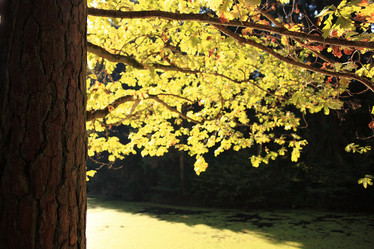 Similar image 10536947