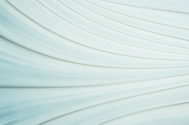 Similar image 10536969