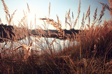 Similar image 10536988