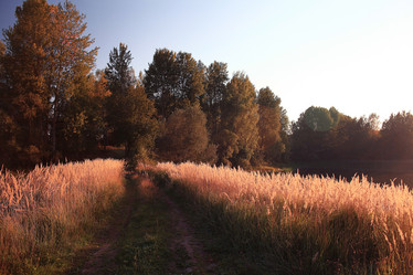 Similar image 10536990