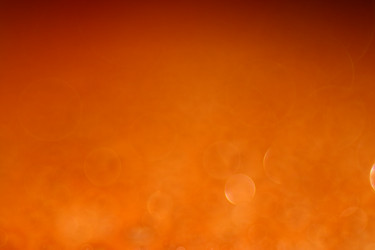 Similar image 10537009