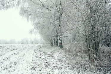 Similar image 10537035