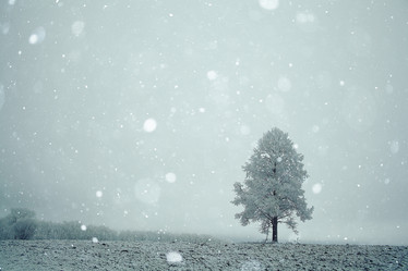 Similar image 10537037