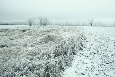 Similar image 10537038