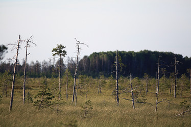 Similar image 10537046