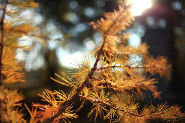 Similar image 10537048