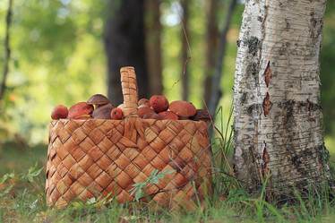 Similar image 10537055