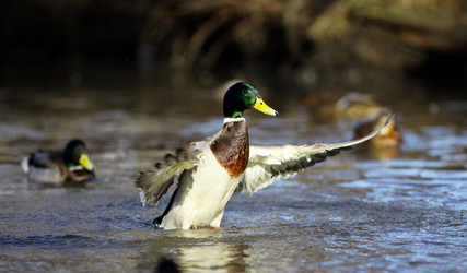 Similar image 10537058