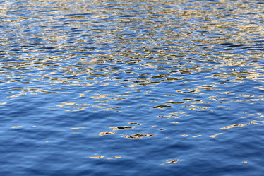 Similar image 10537064