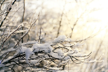 Similar image 10537110