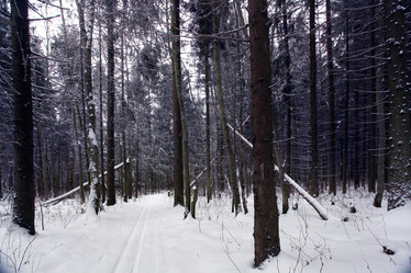 Similar image 10537120