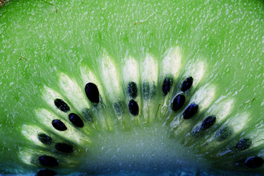 Similar image 10537132