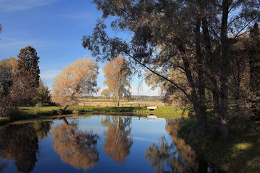 Similar image 10537134