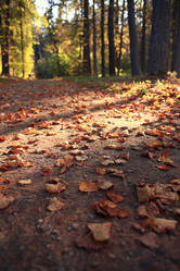 Similar image 10537138