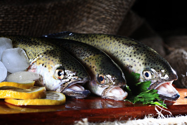 Similar image 10537154