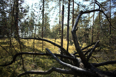 Similar image 10537158