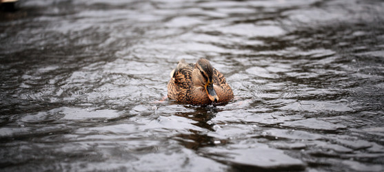 Similar image 10537176