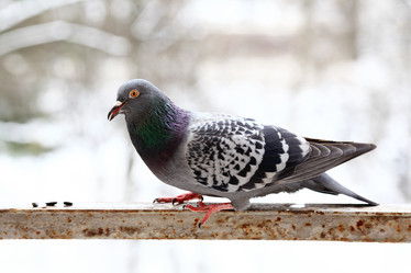 Similar image 10537203