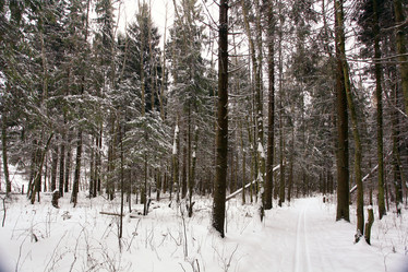 Similar image 10537205