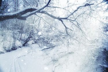 Similar image 10537233