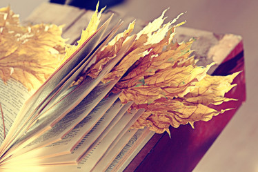 Similar image 10537236