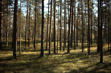 Similar image 10537241