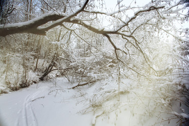 Similar image 10537252