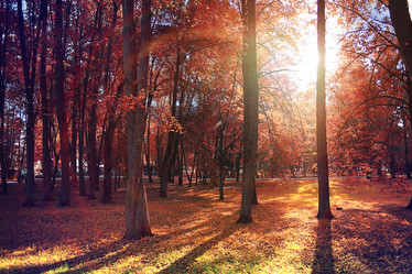 Similar image 10537253