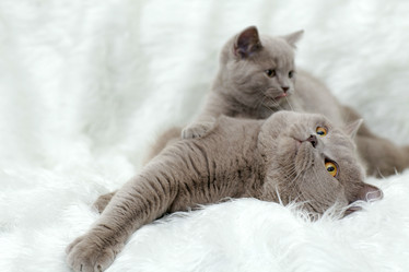 Similar image 10537257