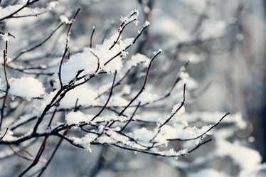 Similar image 10537265