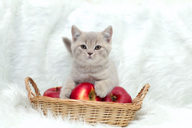 Similar image 10537266