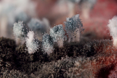 Similar image 10537331